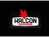 halcon-seguridad_li1